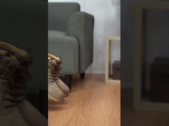 sportschoenen, anti-glij en slijtvaste schoenen, voor mannen